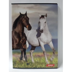 Zvezek A4/52 listni črte