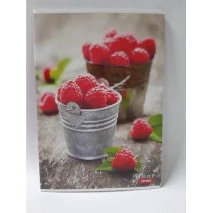 Zvezek A4/52 listni dišeč črte in nizki karo